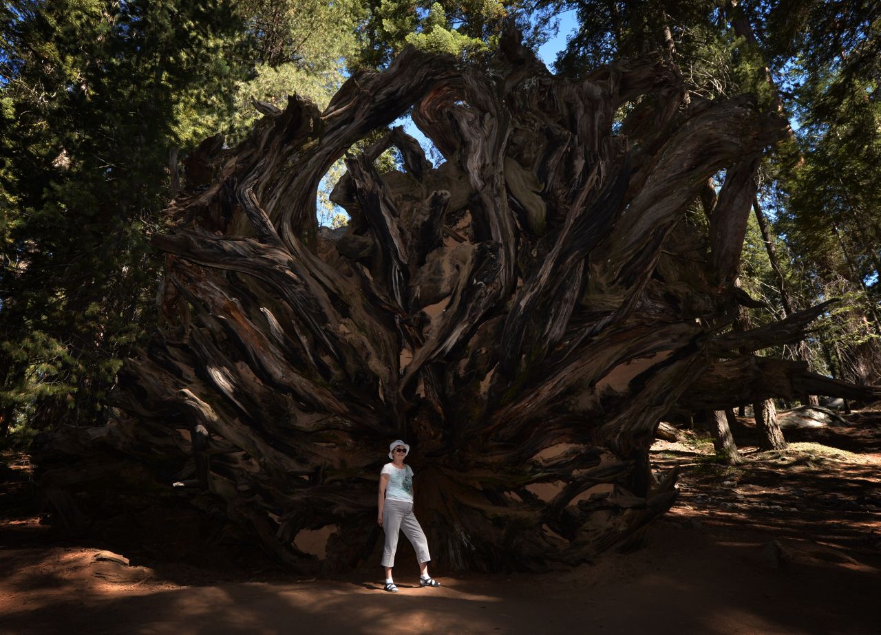 Pay your respects: Sequoia is one place threatened by California's droughts, so be respectful of the environment when visiting.