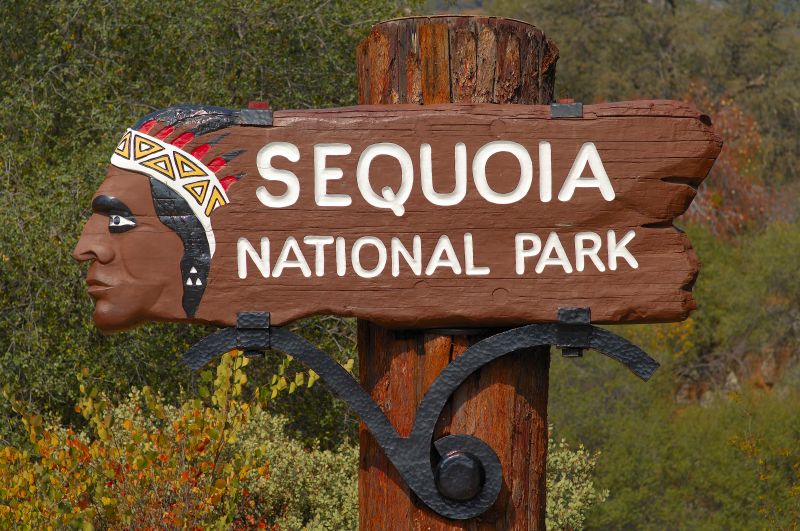 How to plan the perfect trip to Sequoia National Park CNN