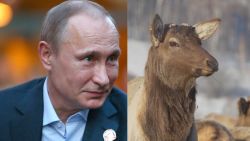 Vladimir Putin magic deer antler blood pleitgen pkg_00000000.jpg