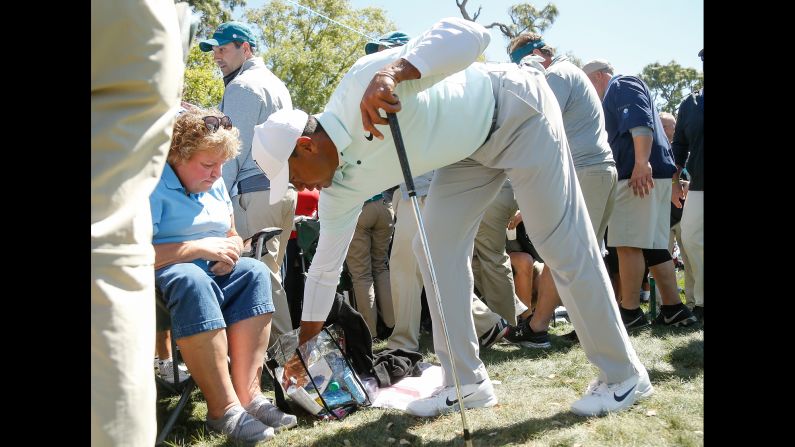 Tiger Woods removes his ball from a spectator's bag after a wayward shot at the Valspar Championship on Friday, March 9. 
