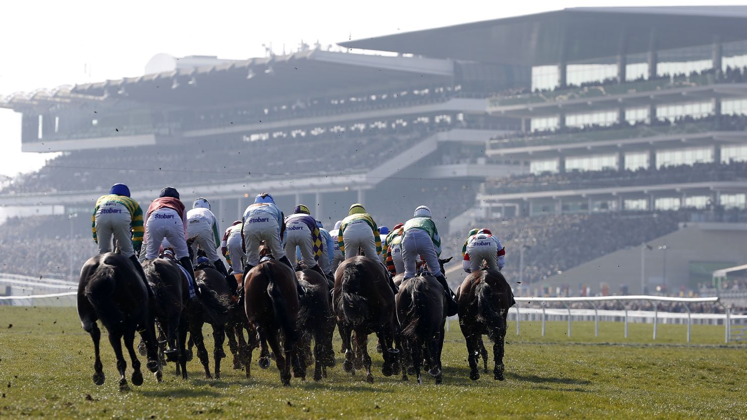 The Cheltenham Festival is the jewel in the crown of European jump racing.