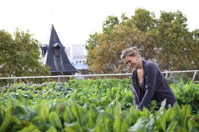 La Chambeaudie Farm is located on the 500 square meter (5,380 square foot) roof of a medical center owned by Paris Metro (RATP) in the 12th arrondissement -- a district in the east of Paris on the right bank of the River Seine.