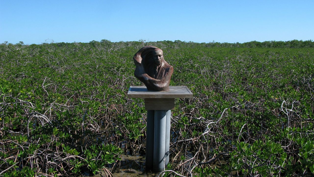 In the mangroves: A bust of Martin Luther King on a remote part of Bimini.