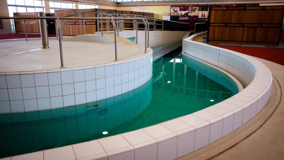 <strong>Not-so-lazy river: </strong>This swimming pool is used to help build muscle strength in the horses. "Some of them love it," says Zayed al Hashmi, Al Shaqab's head of stable management.