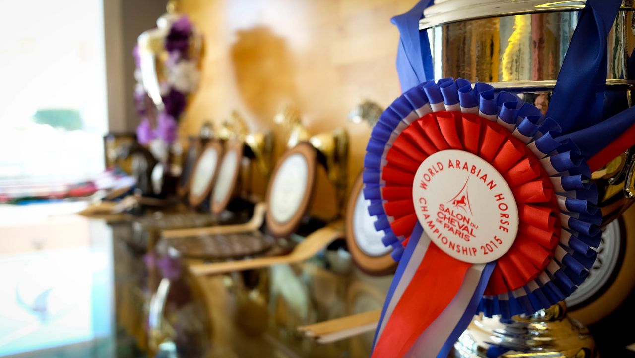 <strong>Prize winners:</strong> Al Shaqab's residents are regular winners in local and international competitions.