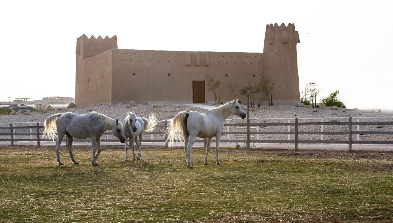 <strong>Atmospheric setting:</strong> The historic heart of Al Shaqab is often in demand as an atmospheric backdrop for corporate events.