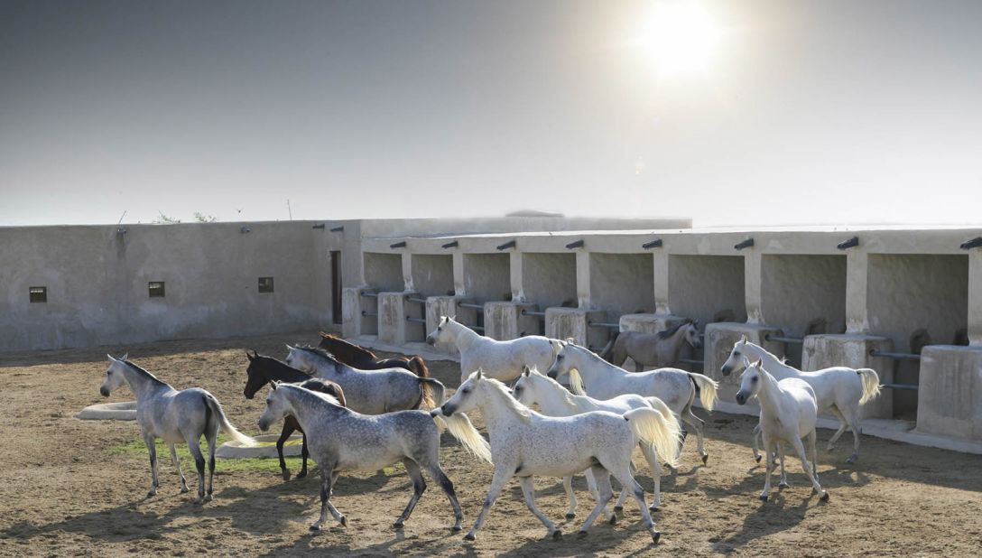 <strong>Horsey history:</strong> Al Shaqab's Ottoman stables are a historical reminder of Qatar's long relationship with Arabian horse breeding.