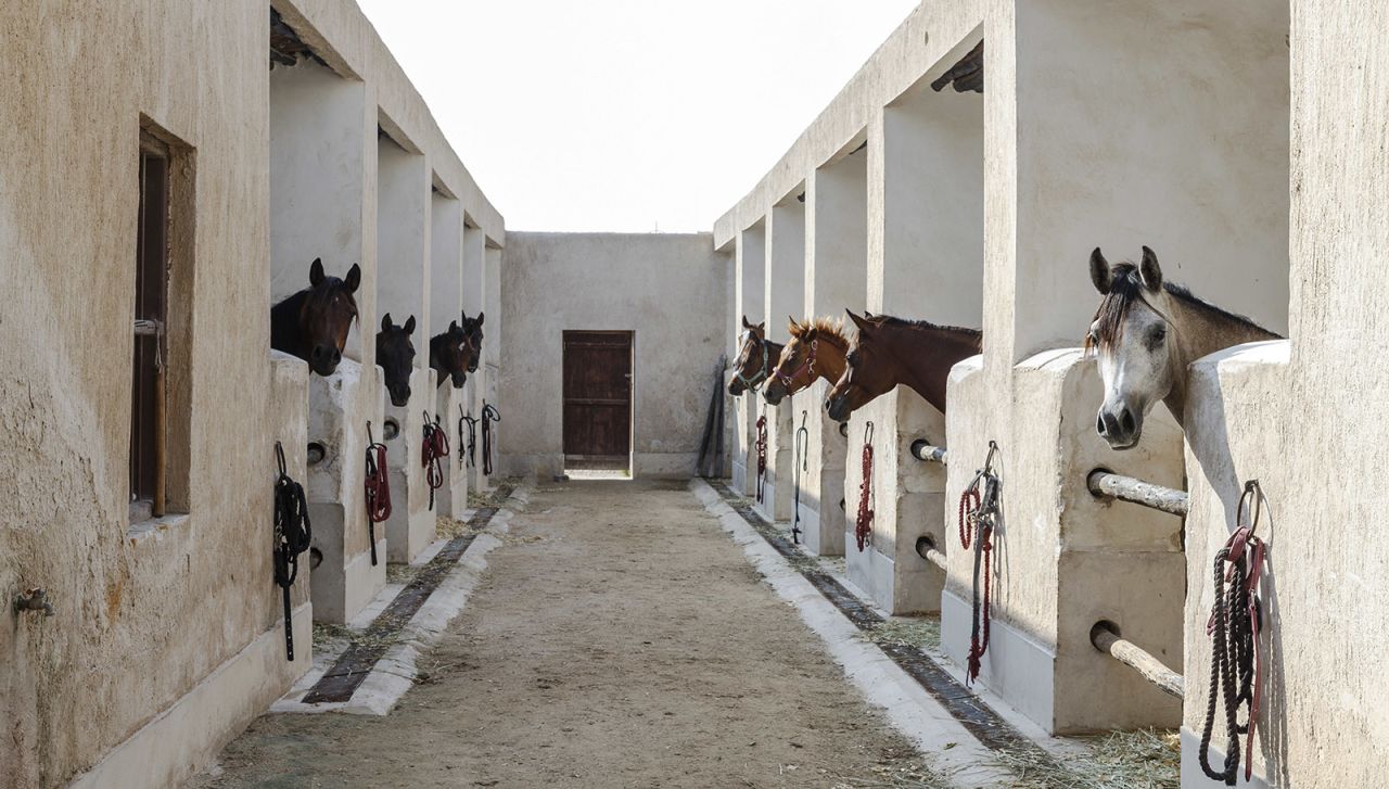 <strong>Traditional settings: </strong>The older stables are still in use today, at least during mild winter weather when temperatures are relatively cool.