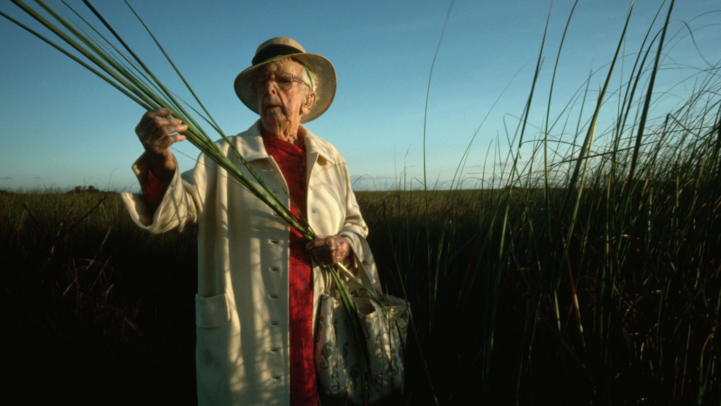 Marjory Stoneman Douglas, author of The Everglades: River of Grass, examines some stalks of saw grass from a section of the national park. Douglas is a longtime proponent of environmental protection and preservation of the Everglades. (Photo by Kevin Fleming/Corbis via Getty Images)