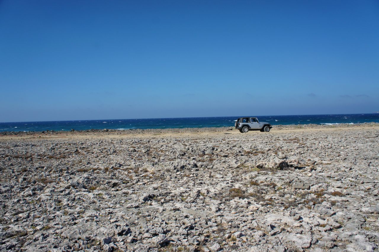 <strong>A deeper dive into Aruba: </strong>Desert terrain covers much of the island. To get a greater sense of the island's arid landscape, explore Arikok National Park's cacti and aloe plants on a Jeep excursion with De Palm Tours.