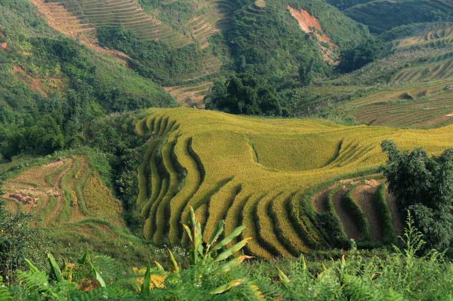 <strong>Sapa Highlands: </strong>The mountainous region of Lao Cai Province lures adventure travelers who appreciate fresh air, magical waterfalls, rice terraces, cultural homestays, bamboo forests and challenging hikes. The area is home to Vietnam's highest summit, Fansipan Mountain, which stands at 10,311 feet tall. The best time to visit is April and May, right before the rainy summer season.