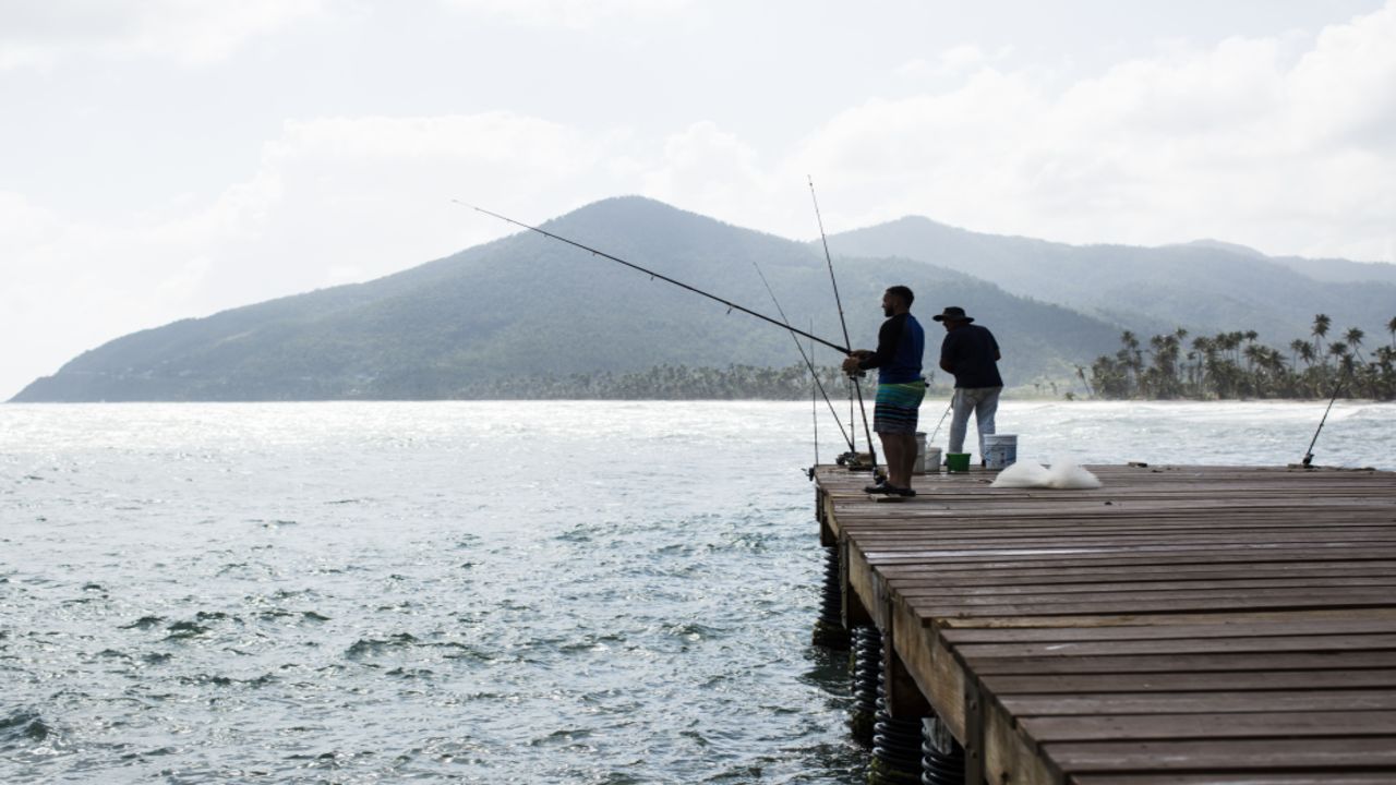 Crabbing and fishing are popular in Maunabo. The town hosts an annual crab festival.