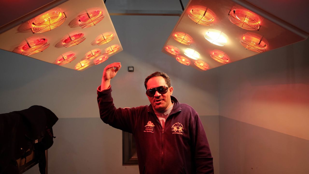 <strong>Horse drier:</strong> Zayed al Hashmi demonstrates heat lamps used to dry off horses after a swim.