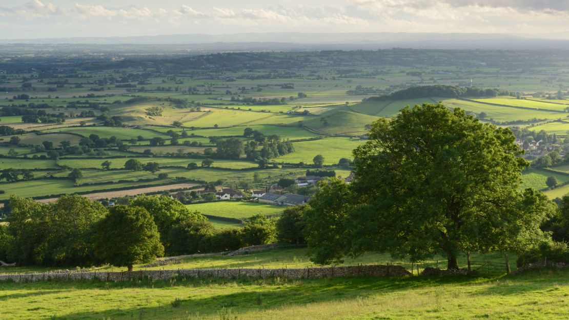 Somerset Levels: An ancient landscape.