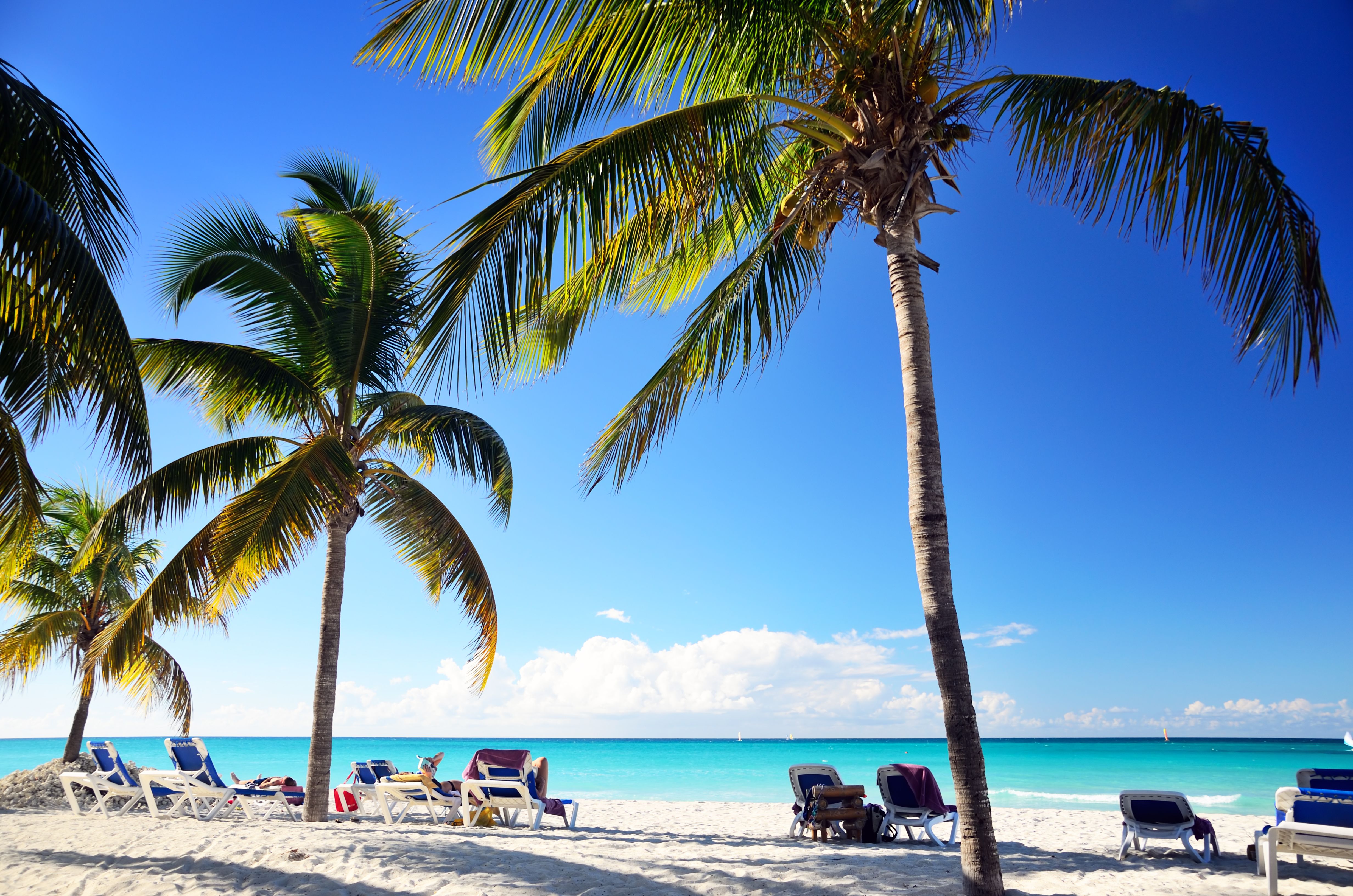 Best Travel Deal Tuesday offers 2021: Aer Lingus, Etihad and ...