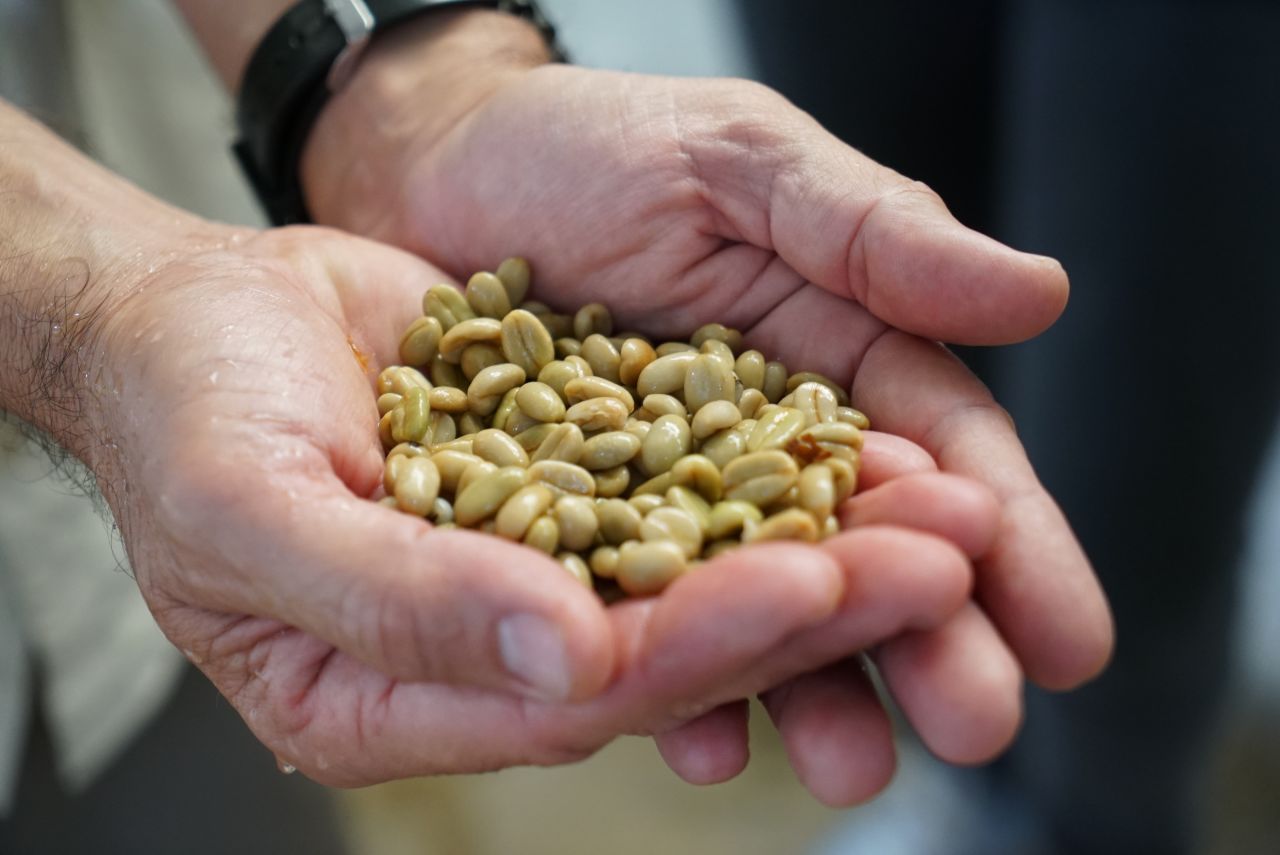 Fresh coffee beans are shown during a tour of Colombia's Coffee Triangle.