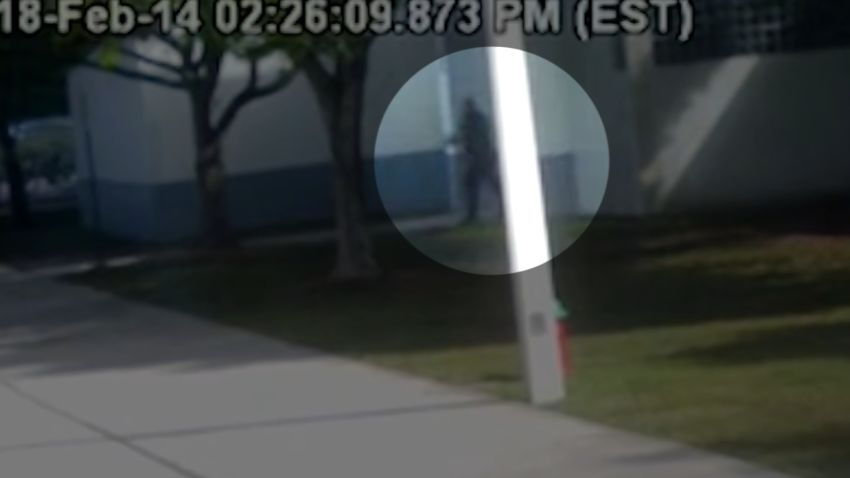 Surveillance video outside Marjory Stoneman Douglas school that shows SRO Scot Peterson's actions responding to incident