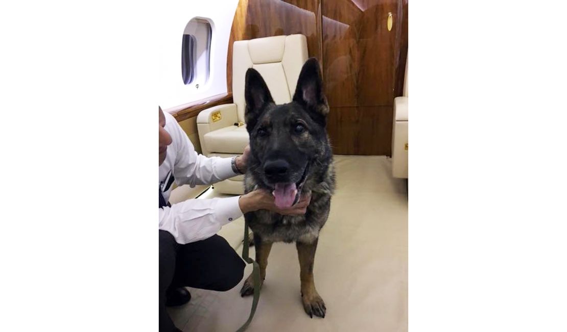 Irgo was flown back to the United States and reunited with his family in Kansas. 