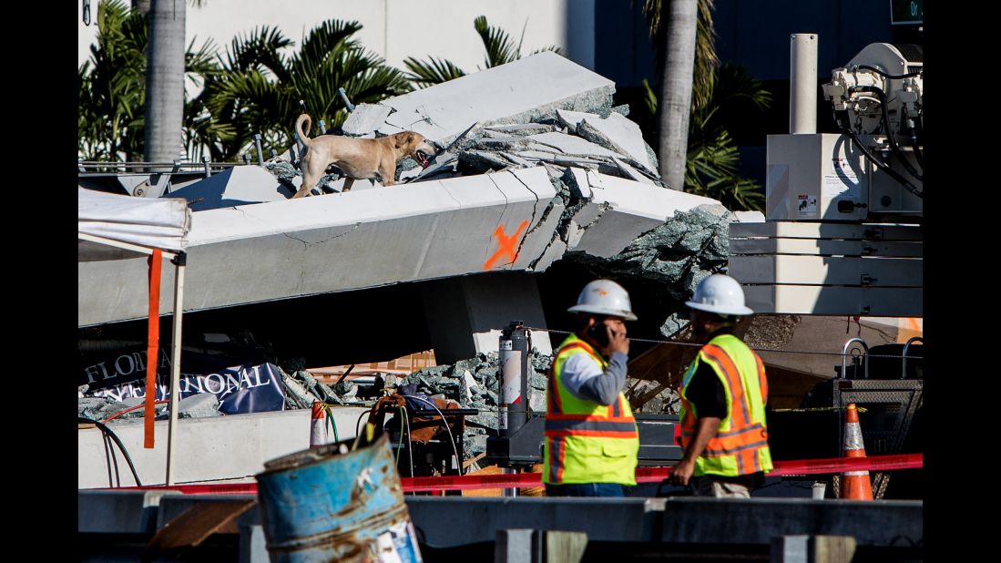 A rescue dog searches for victims after the bridge collapsed.