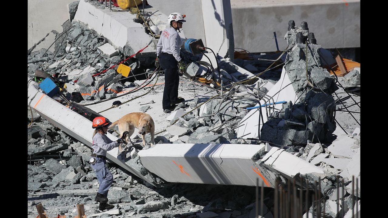 A rescue dog and its handler work at the scene of the collapsed pedestrian bridge. At least six people were killed. Their identities were not immediately released as authorities worked to contact family members, Miami-Dade Police spokesman Alvaro Zabaleta said.