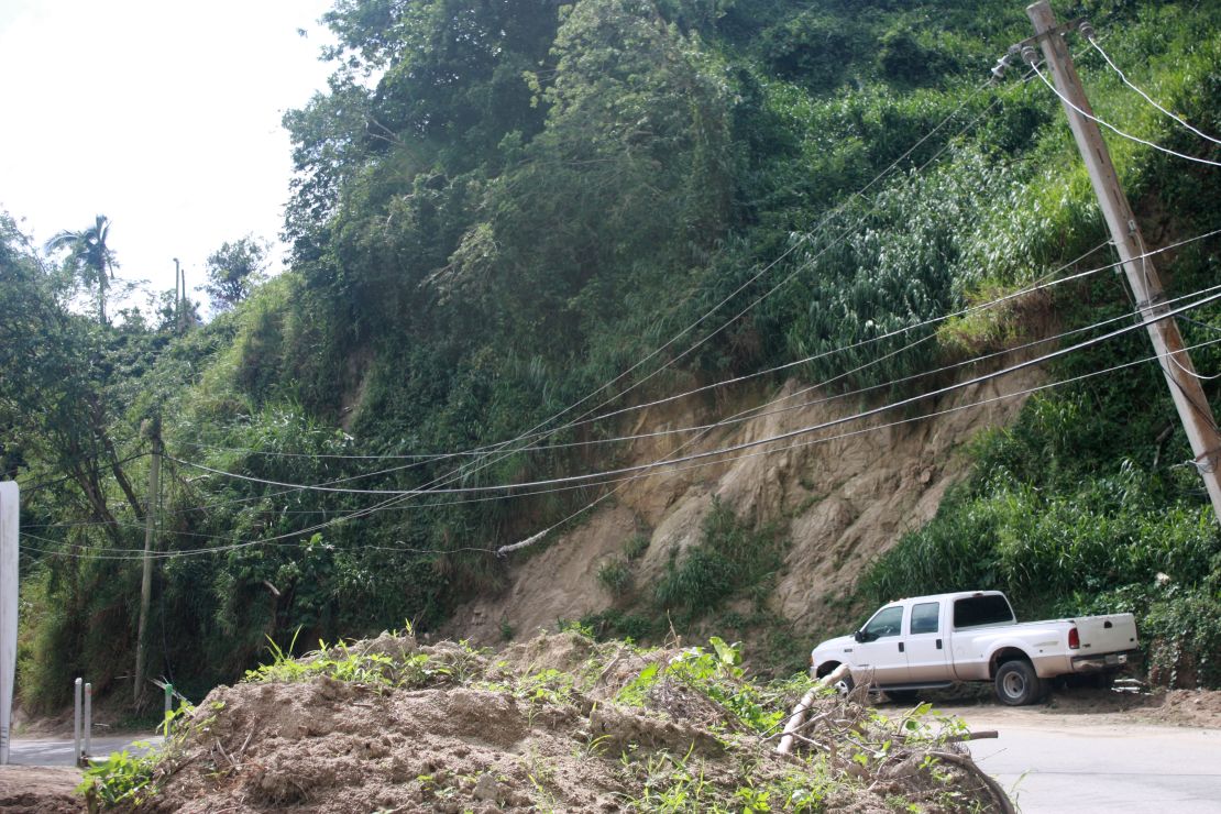 02 surviving climate change power lines