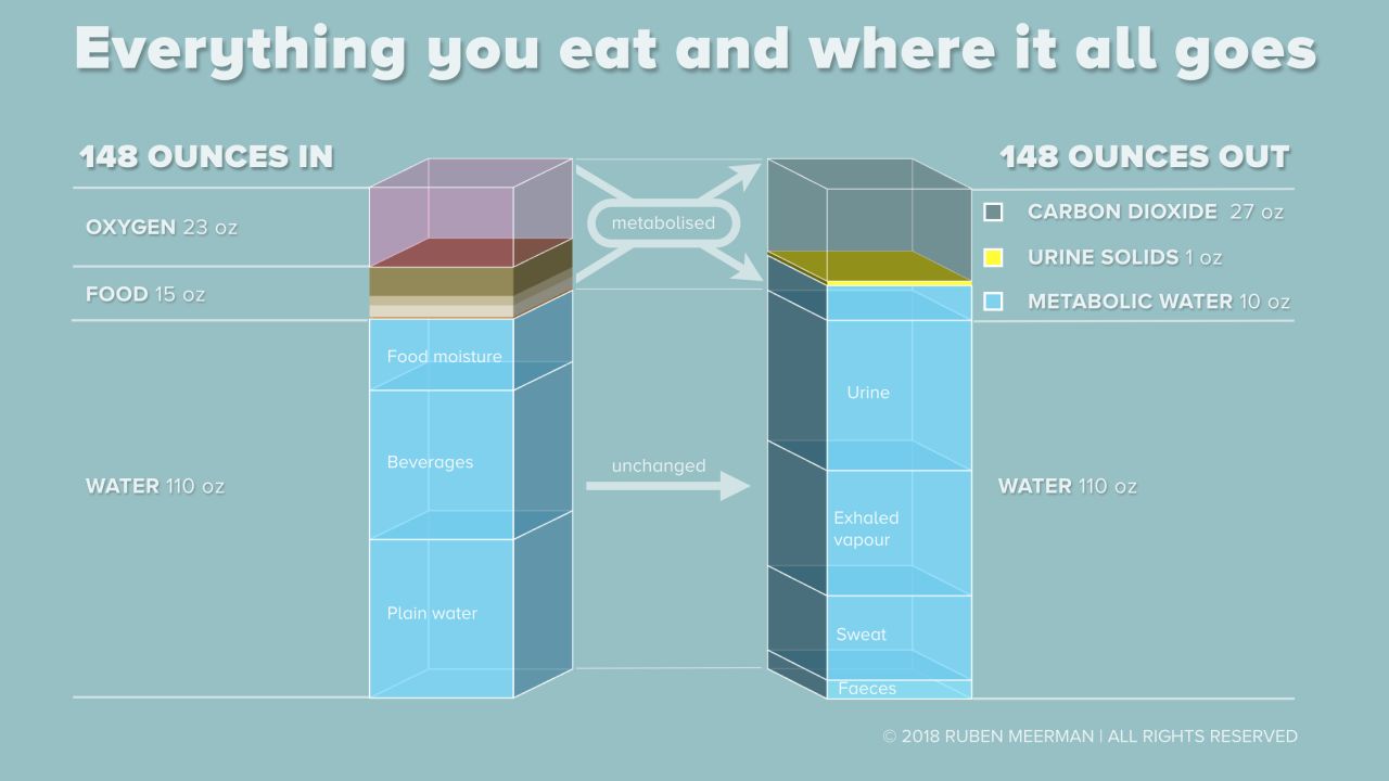 what America eats graphic