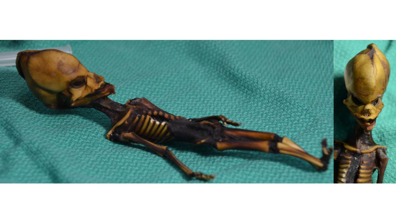 Mystery of 'alien' skeleton solved | CNN