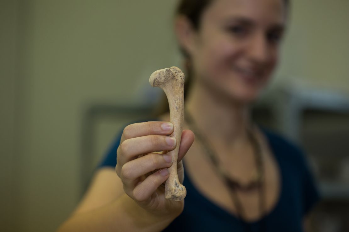 Lead researcher Ashley Sharpe holds a dog humerus from remains found at the Ceibal, Guatemala site.