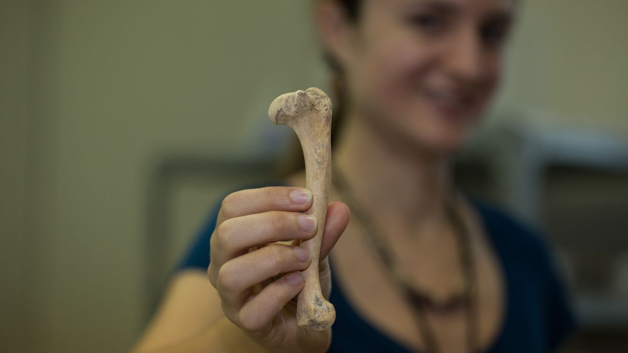 Lead researcher Ashley Sharpe holds a dog humerus from remains found at the Ceibal, Guatemala site.