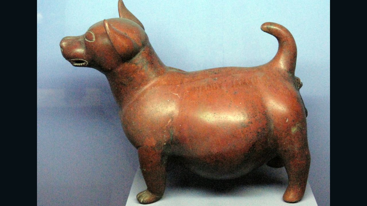 The dogs eaten by the Maya are thought to have resembled modern-day Chihuahuas