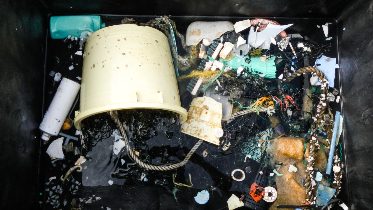 Plastic samples collected during the study.