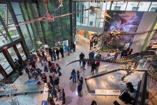 <strong>Cutting-edge museums: </strong>The Witte Museum uses the tagline "Where Nature, Science and Culture Meet." The museum has a permanent dinosaur gallery.