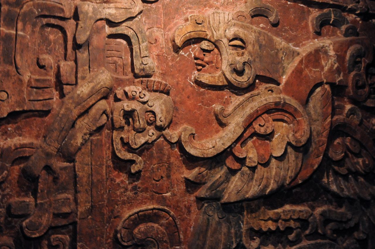 How the ancient Maya reared dogs for food | CNN How the ancient Maya reared dogs for food | CNN