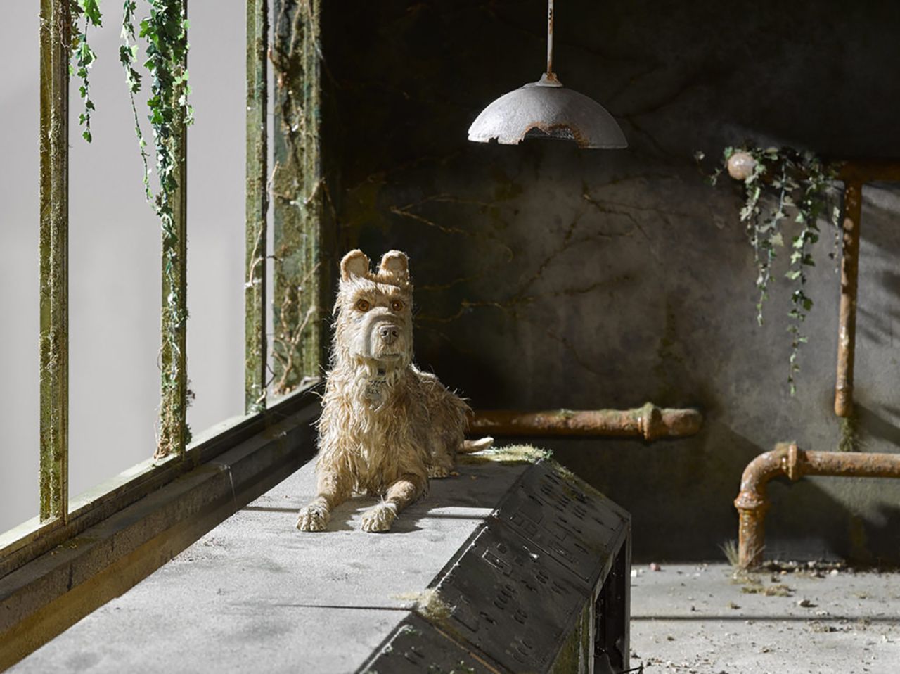 Filming the Isle of Dogs was a huge operation: "We had between 40 and 50 film units running at one time," the cinematographer explains. 