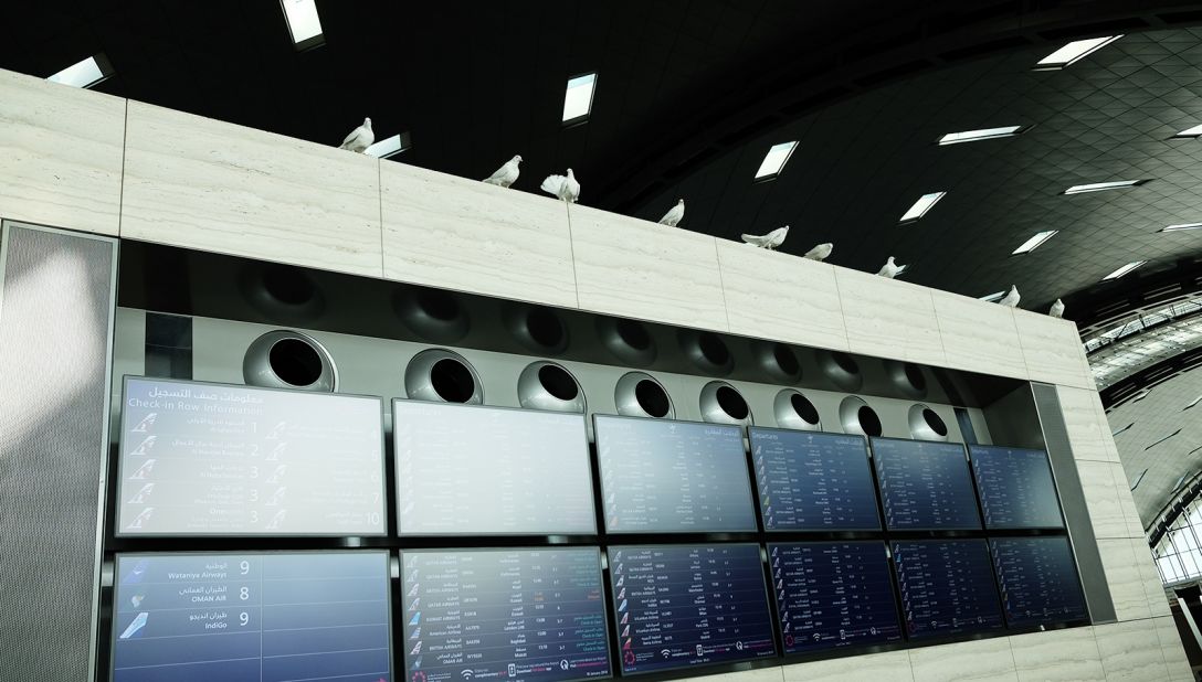 <strong>Spot the birds:</strong> Look closely above the information boards. Those birds aren't real. Just another cool art installation.