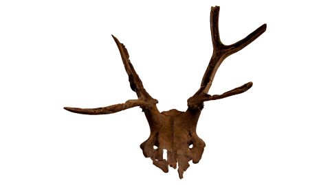 A the red deer antler headdress discovered at Star Carr.