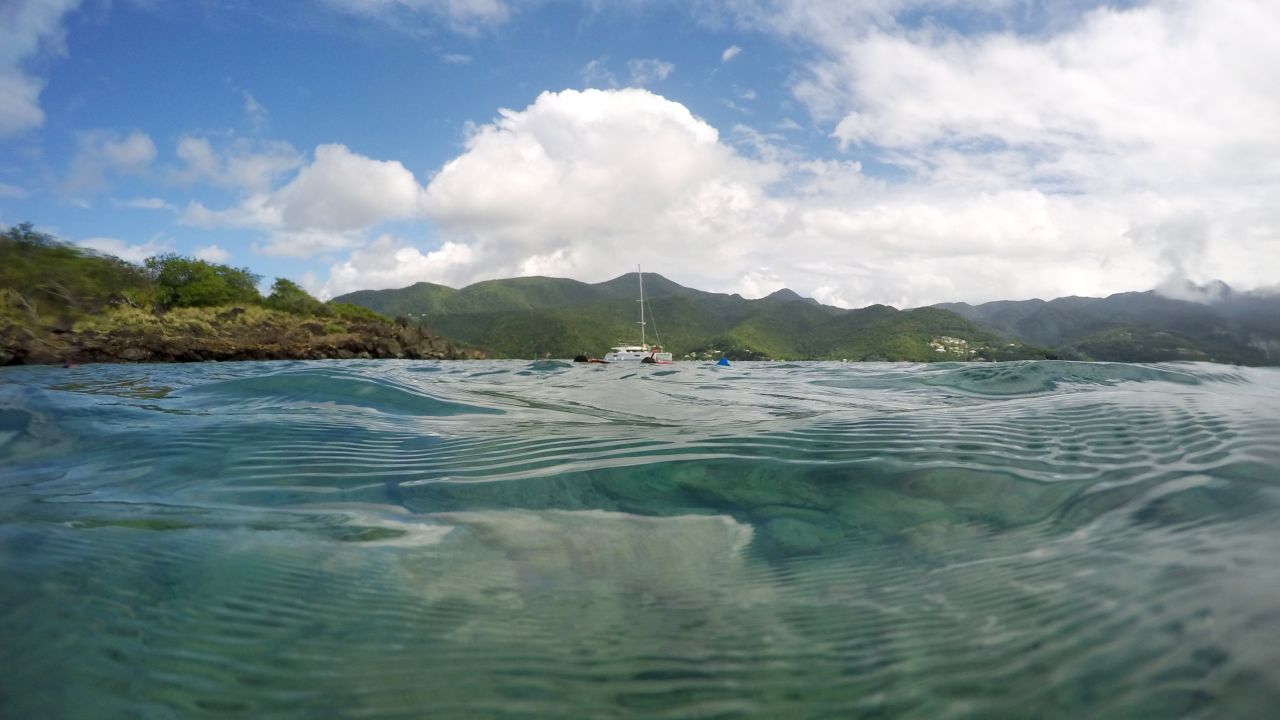 At Jacques Cousteau Underwater Reserve visitors can learn to snorkel and dive among the diverse wildlife including fish, coral, turtles and small sharks.