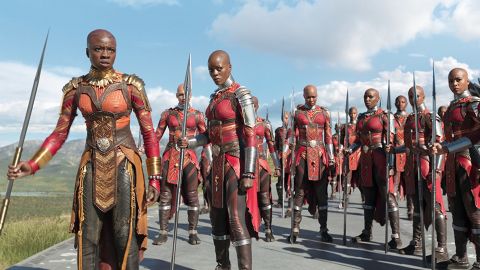 Nigerian studio EbonyLife and Sony Pictures Television are to produce a TV series on the West African Dahomey Warriors. They're following in the footsteps of box office hit "Black Panther," which featured the all-female security services of Dora Milaje. 