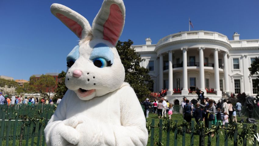 WASHINGTON, DC - APRIL 21:  (AFP OUT) A person dressed as a Easter bunny watches children participate in the annual White House Easter Egg Roll on the South Lawn April 21, 2014 in Washington, DC. President Obama and the first lady hosted thousands of children for the annual White House event dating back to 1876 that features live music, sports courts, cooking stations, storytelling, as well as the Easter egg roll this year.  (Photo by Olivier Douliery-Pool/Getty Images)