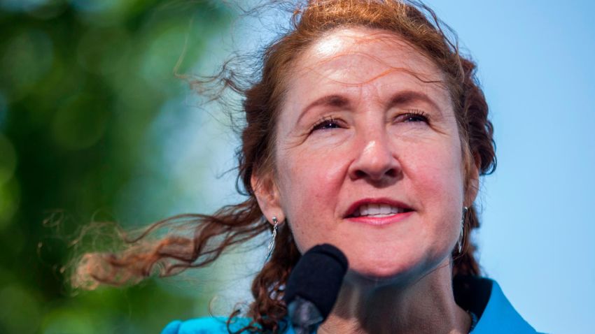 WASHINGTON, DC - MAY 03: Rep. Elizabeth Esty (D-CT) speaks during a press conference on gun safety on Capitol Hill on May 3, 2017 in Washington, DC. (Photo by Zach Gibson/Getty Images)