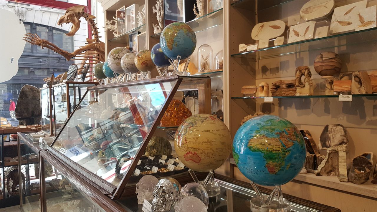 The Evolution Store sells everything from compasses to taxidermied animals.