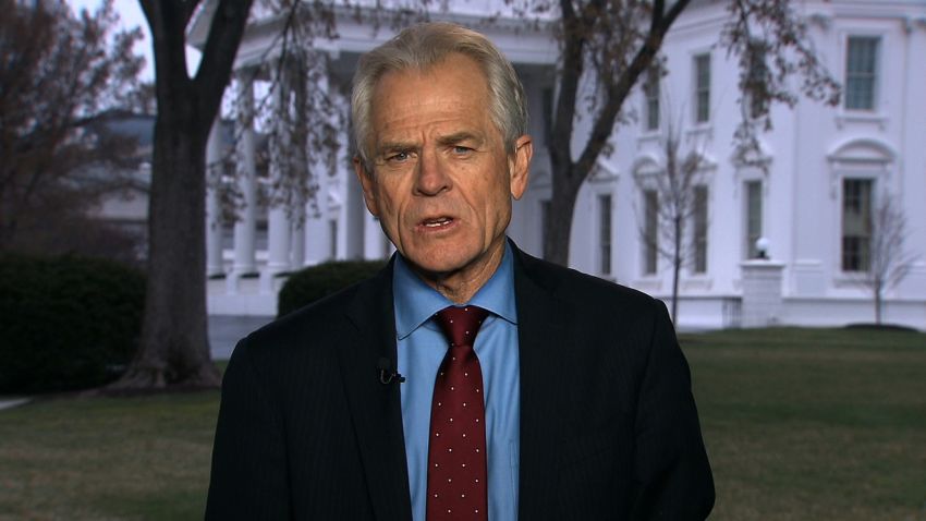 peter navarro 2