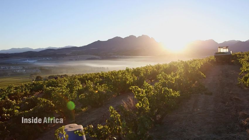Inside Africa South Africa old vineyard heritage 17th century B_00004622.jpg