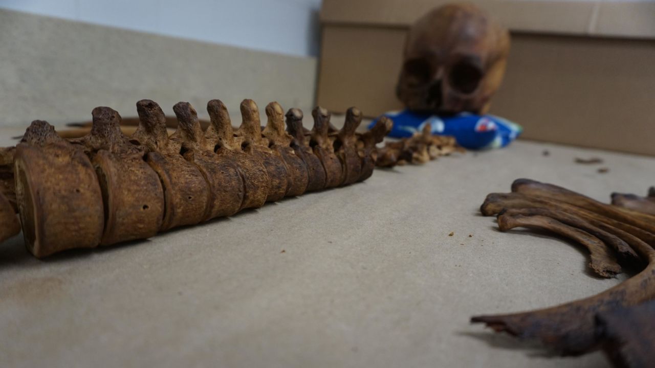 An unidentified skeleton at the lab of Kate Spradley, a forensic anthropologist at Texas State University who is working to identify the remains of border crossers. 