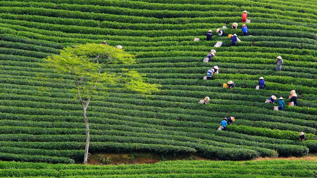 <strong>Dalat Central Highlands:</strong> Sitting at an elevation of 4,900 meters above sea level, Dalat has become synonymous with misty valleys and its "eternal springtime" climate. The city itself is all French boulevards and colonial-era architecture, but the surrounding landscapes are the real draw. The natural landmarks range from rolling mountains to dense pinewood forests, sinuous roads and powerful waterfalls.