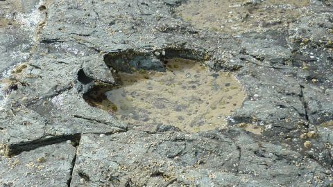The footprints were found in a lagoon on the Isle of Skye. 