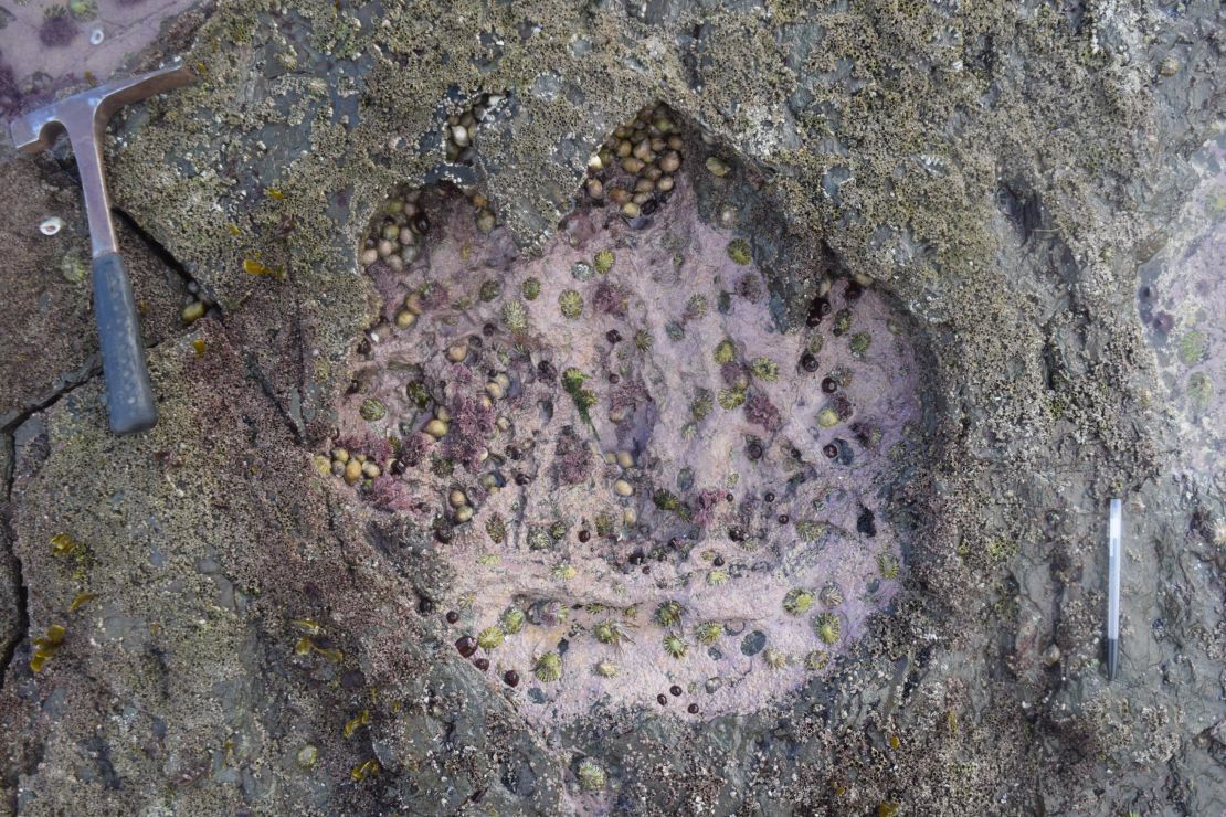 One of the footprints found by researchers.
