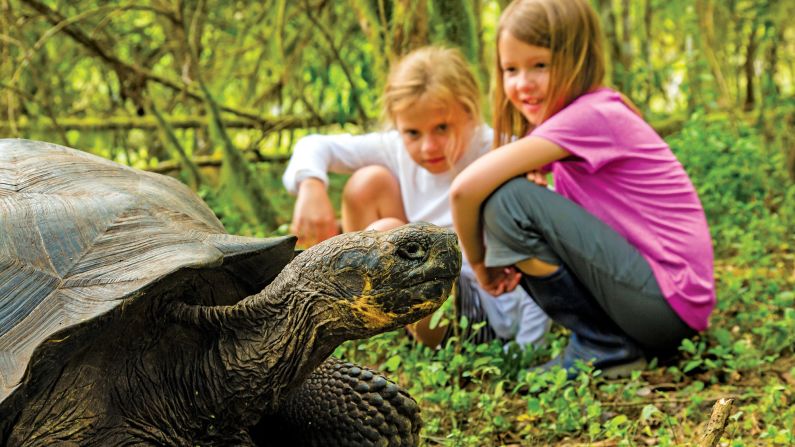 <strong>Lindblad Expeditions:</strong> The giant tortoises of the Galápagos are sure to fascinate tiny explorers on a Lindblad Expeditions voyage. 