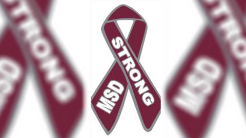 The pins will be donated to all graduating seniors in Broward County.
