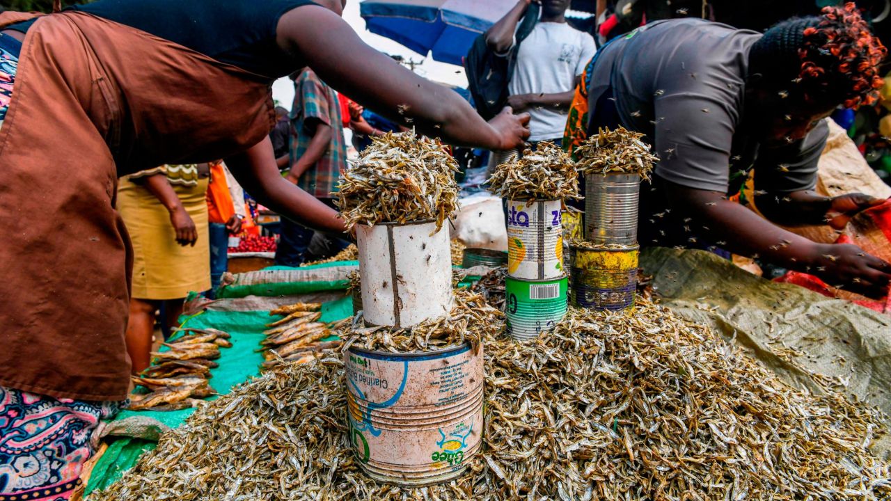Women sell dried fish at the Kawangware market on the outskirts of Nairobi.